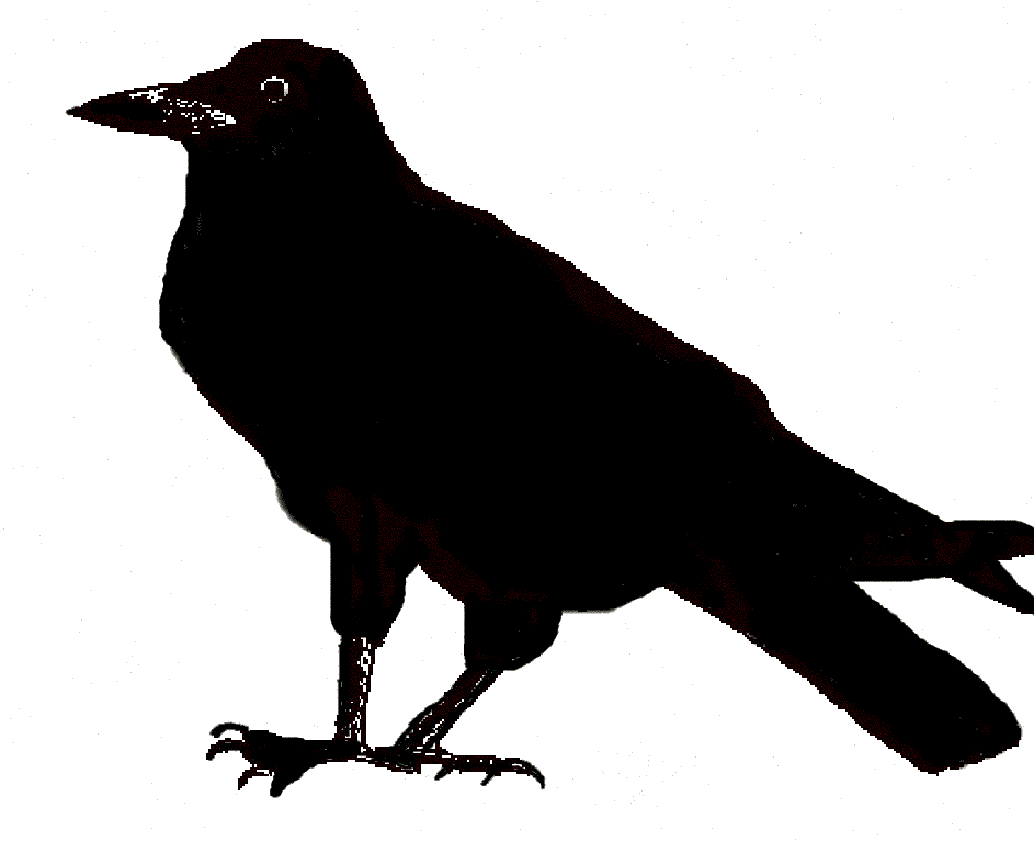 Pictures for Black Crow Candle Company in Canton, IL 61520