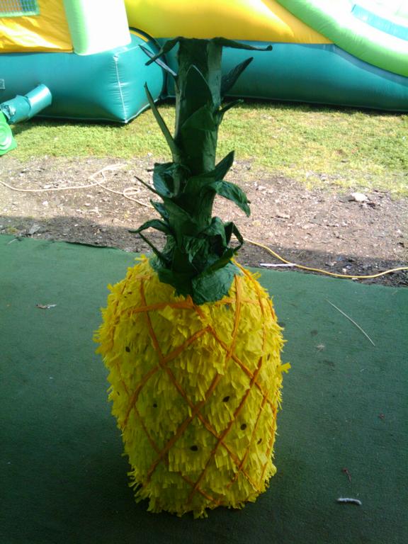 pina from PINATAS. in Houston, TX 77036 Party Rentals