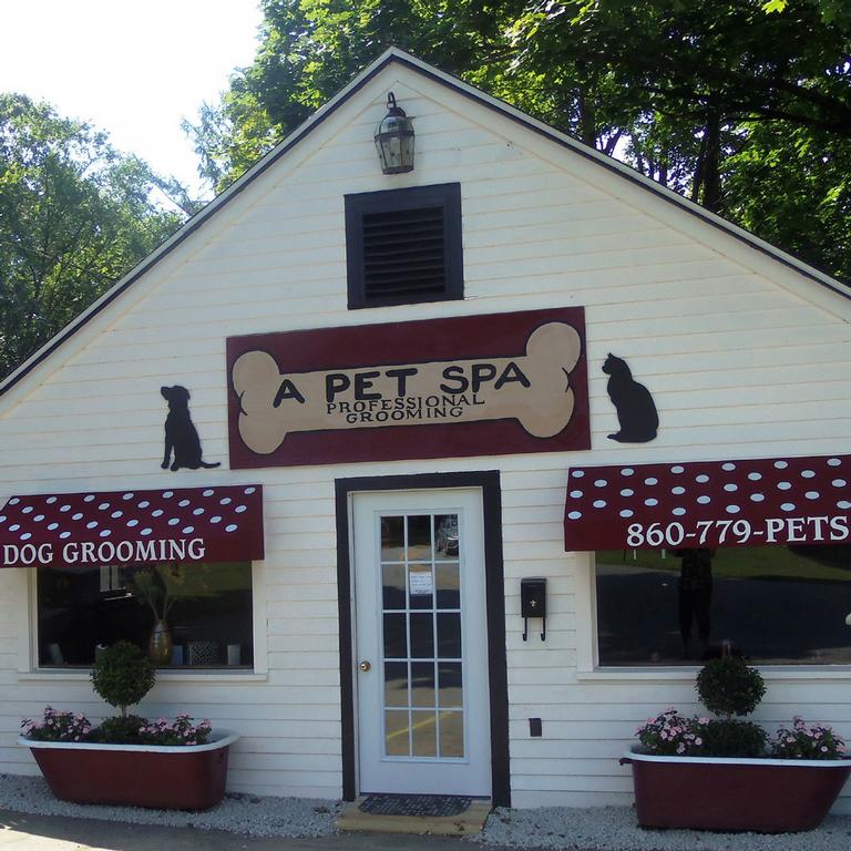 A Pet Spa & Boutique Brooklyn CT 06234 8607797387 Dog Grooming