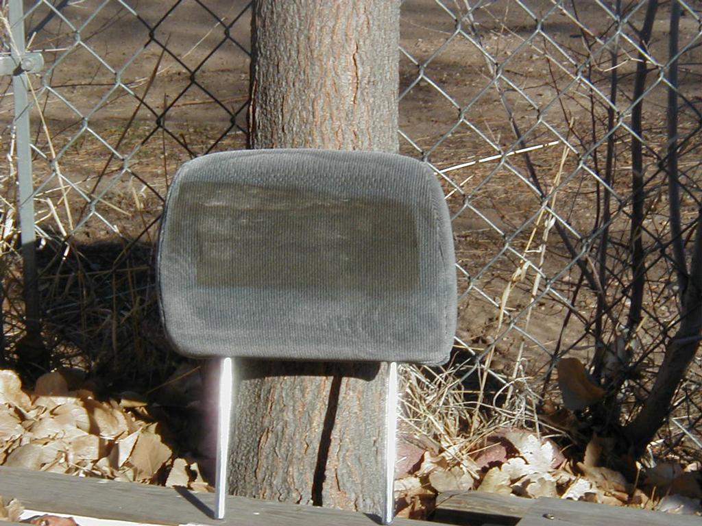 Spit 'n Shine Auto Detailing Fort Collins CO 80524 9703081822