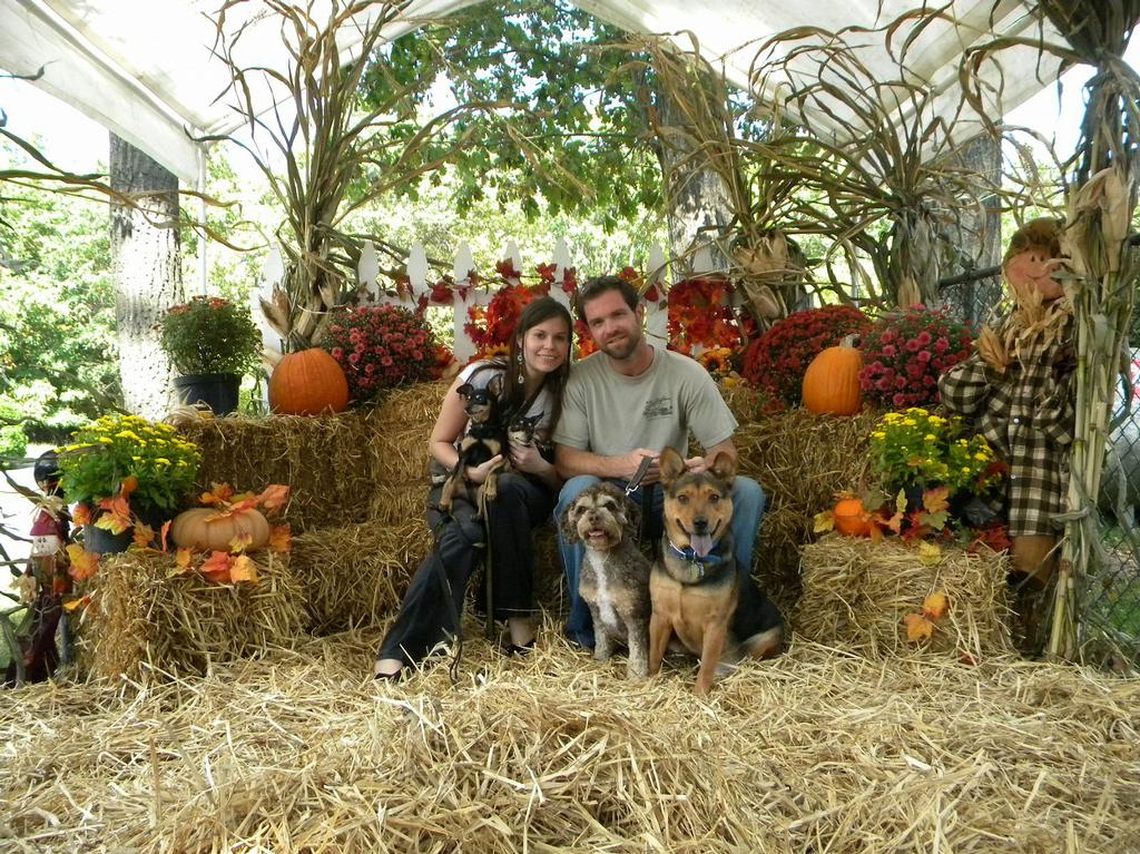 The Doggie Chalet Pet Sitting NJ & Cage Less Boarding Montclair NJ