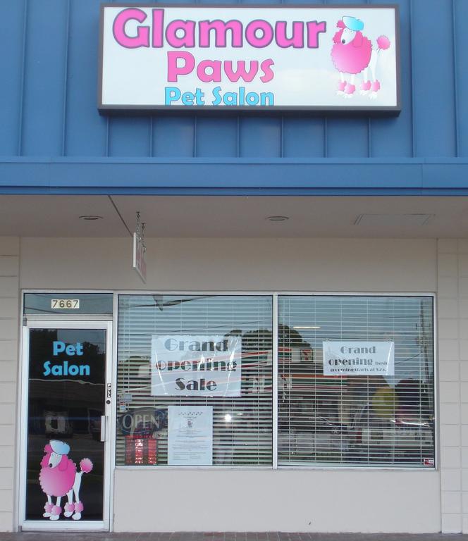 Glamour Paws Pet Salon Seminole FL 33777 7272300688