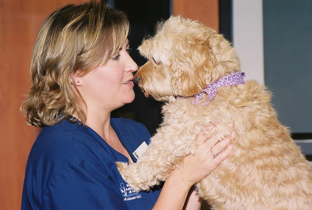 Pictures for Blue Springs Animal Hospital and Pet Resort in Blue Springs, MO 64015