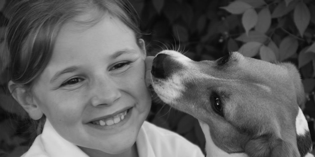 Pictures for Kingsbrook Animal Hospital in Frederick, MD 21703