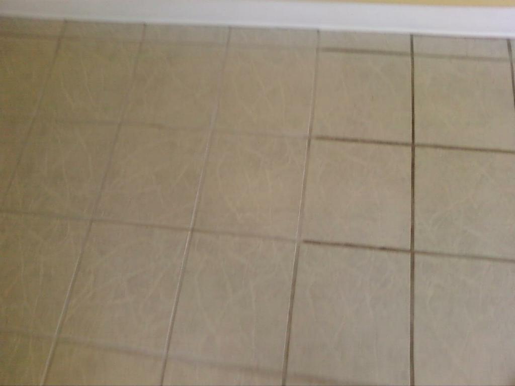 maximum carpet cleaning mi MI 48042 5865569839