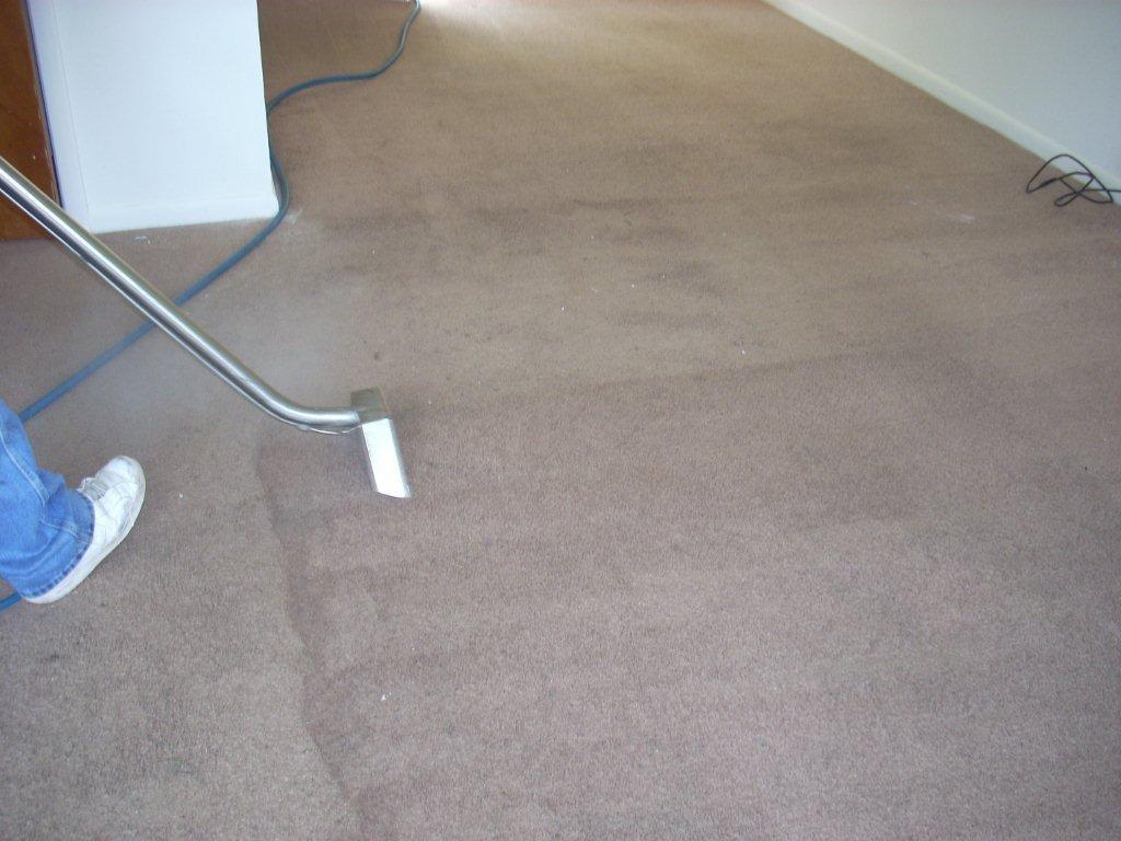 J & S Carpet Specialist LLC Raleigh NC 27615 9195759348