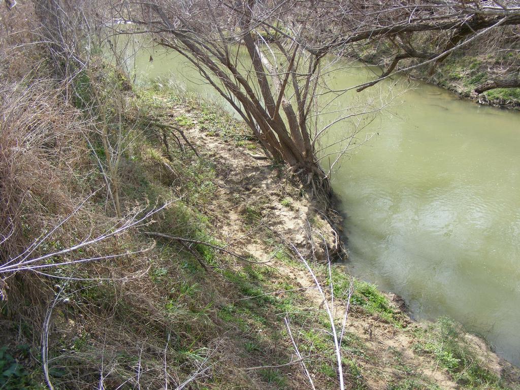 Mission Realty San Antonio Real Estate Agent Randy Watson San