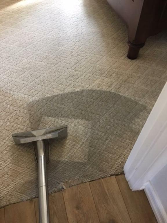 C J Frank Carpet Care San Diego CA 92120 6198851021