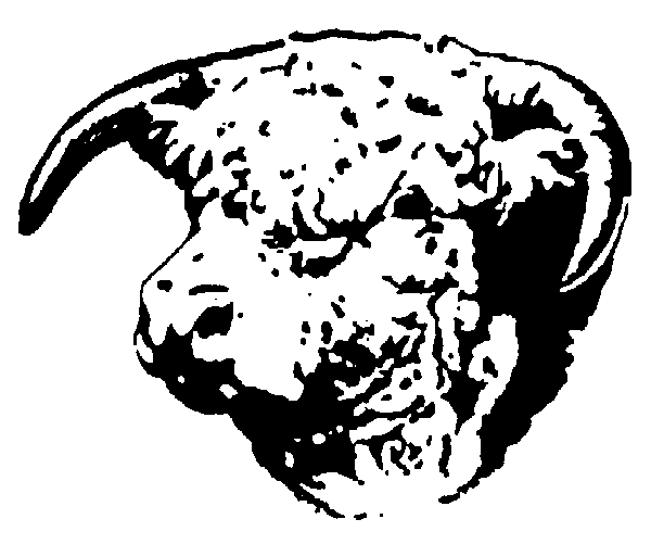 Stockgrowers State Bank Ashland KS 67831 6206354032