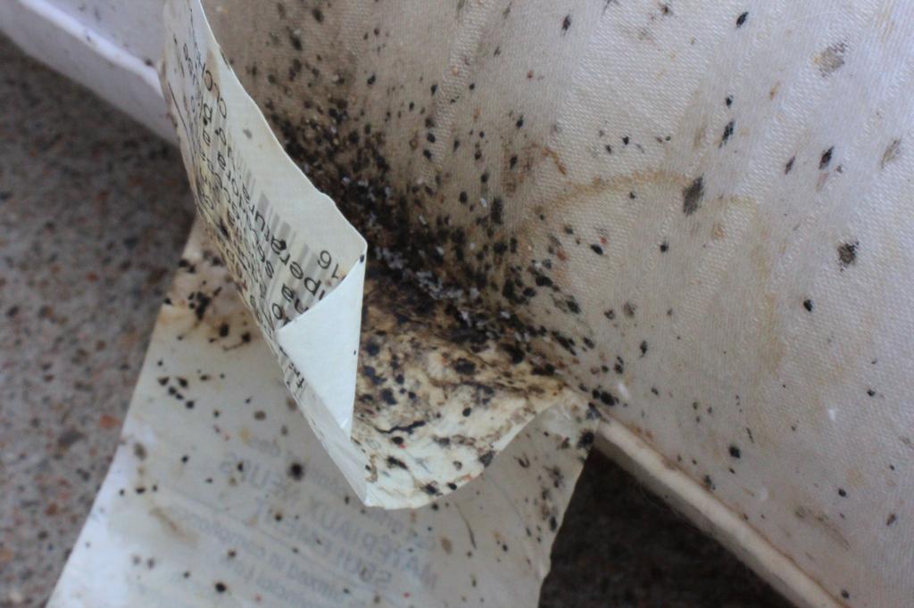 Pillow Tag with Bed Bug fecal material from World Pest Control in