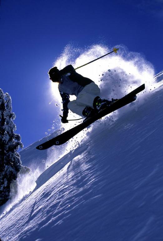 Tahoe Dave's Skis & Boards Tahoe City CA 96145 5305836145
