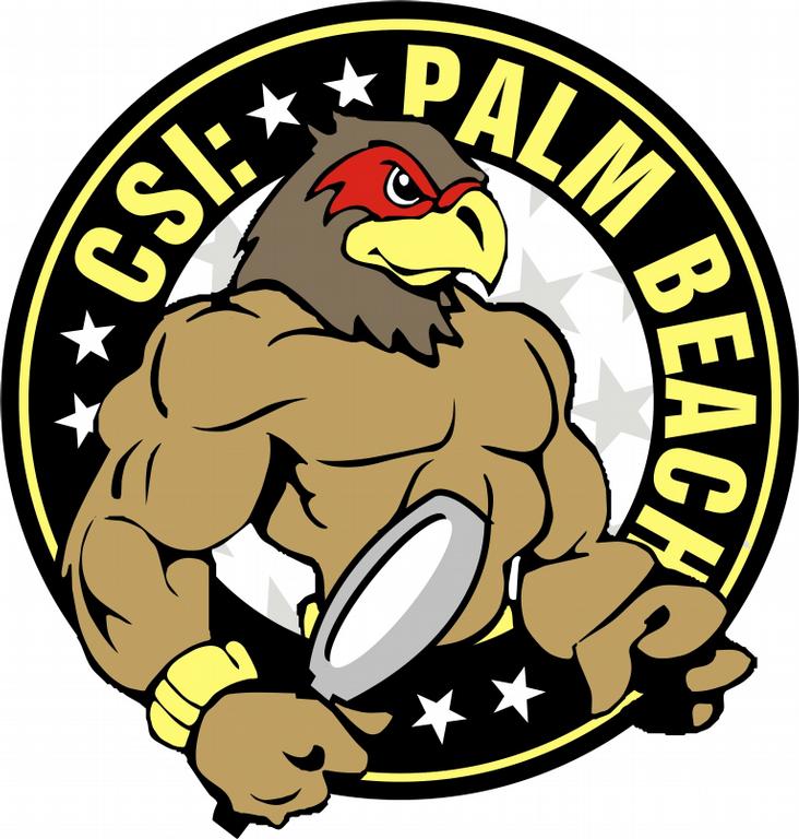 CSI Logo from CSI Palm Beach in West Palm Beach, FL 33417