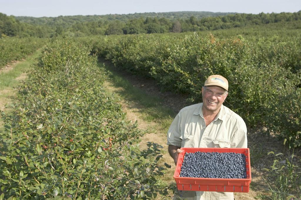 Rose Berry Farm LLC South Glastonbury CT 06073 8606337467