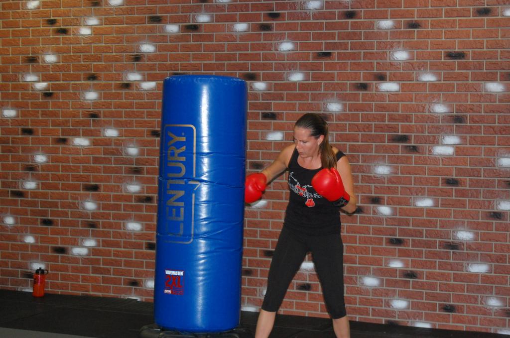 Best Martial Art Best Joint Lock Martial Art