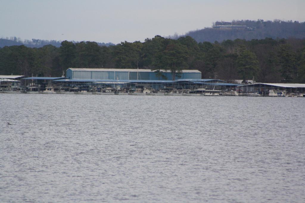 Guntersville Marina Guntersville AL 35976 2565823625 Boating