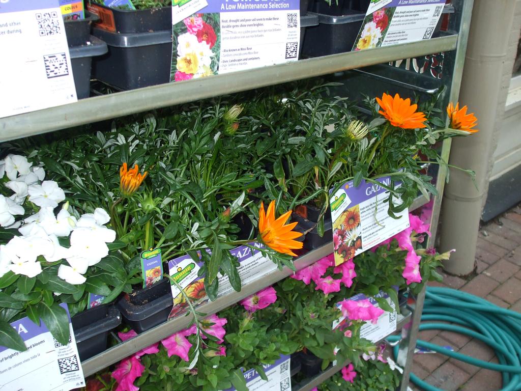 Pictures for Rutledge Hardware Company in Rutledge, GA 30663