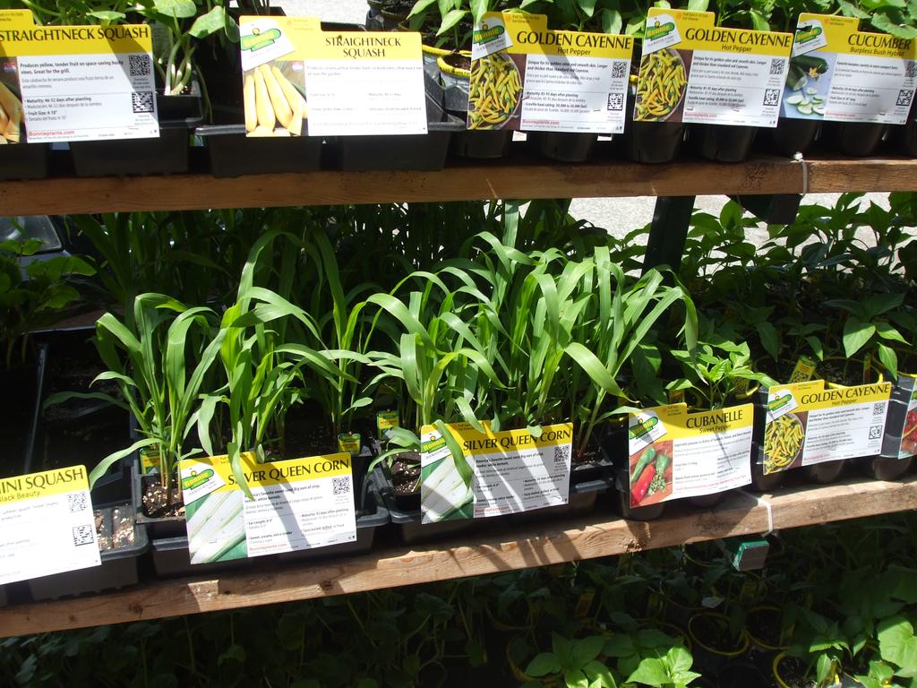 Pictures for Rutledge Hardware Company in Rutledge, GA 30663