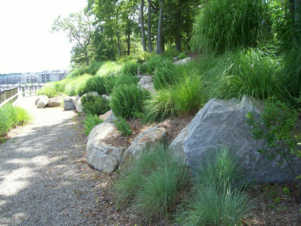 Natural Waterfront Landscape Design Maryland Contractor from Creative