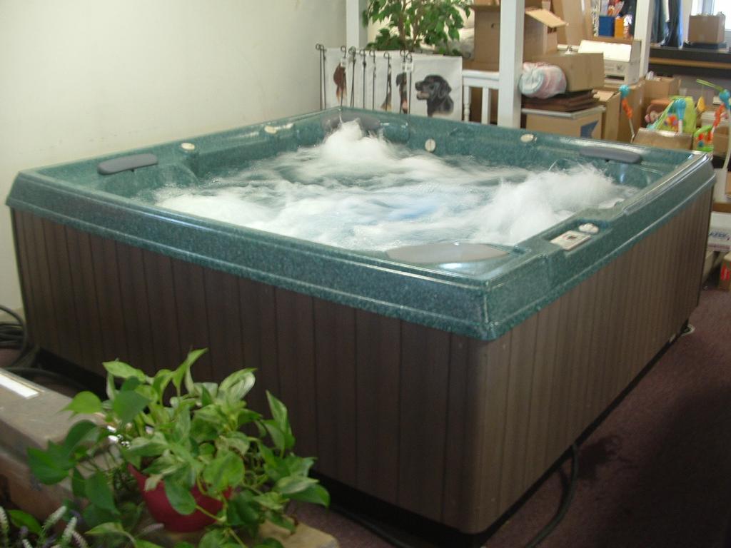 Maryland Deck and Hot Tubs Elite Spa by Maax from Maryland Deck and Hot