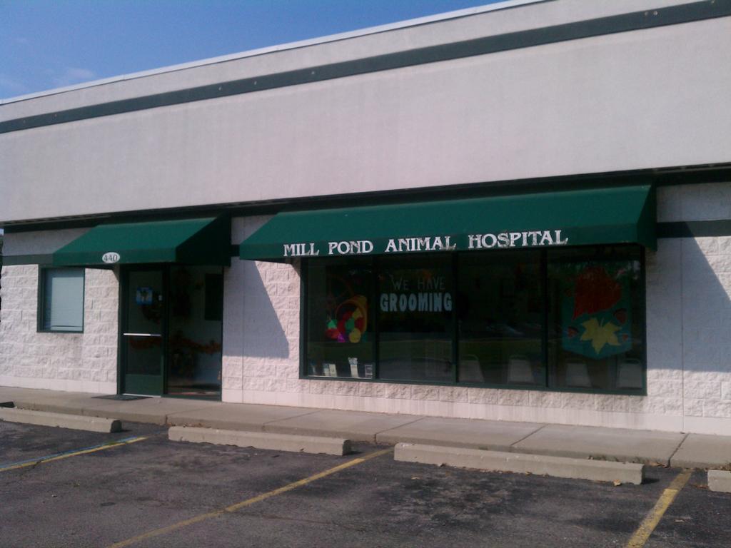 Mill Pond Animal Hospital Pinckney MI 48169 7348784302