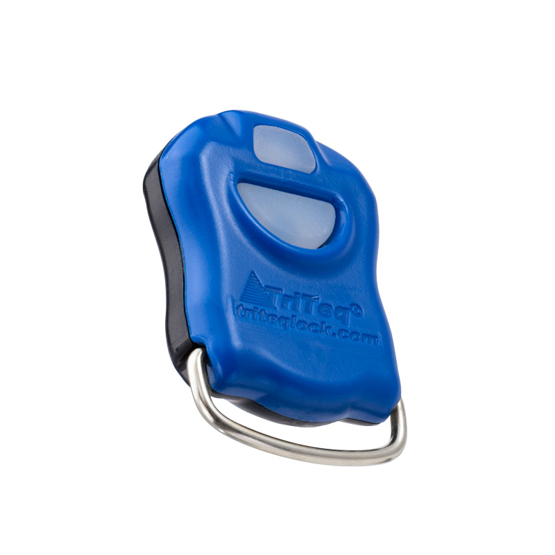 Control key fob