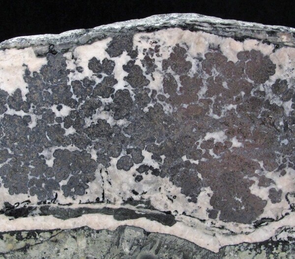 Large rich Silver & Nickeline ore (Soregaroli Coll.) CobaltGowganda