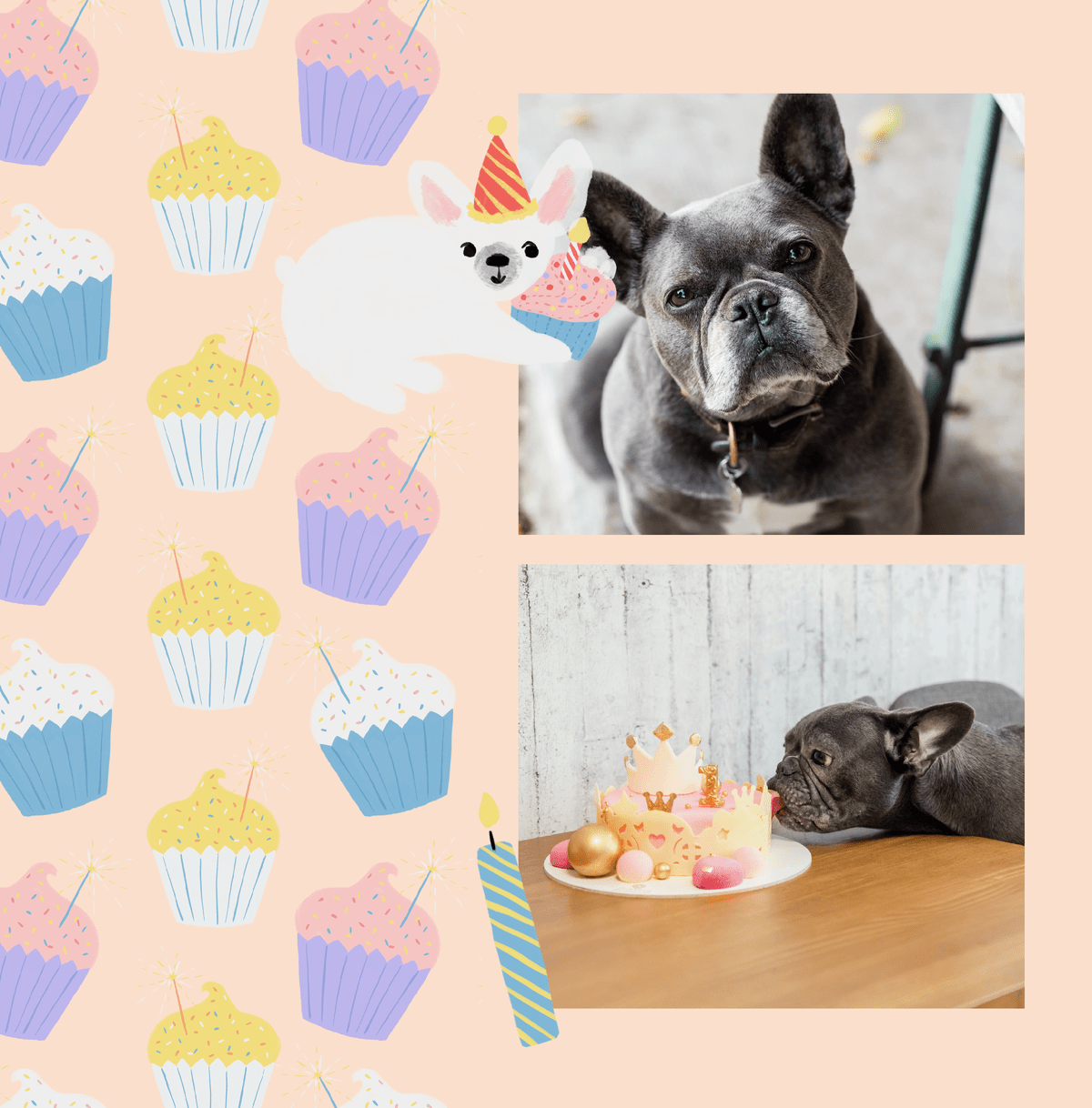 The Best Pet Photo Album Dog Photo Album