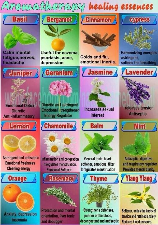 Aromatherapy Healing Essences Musely
