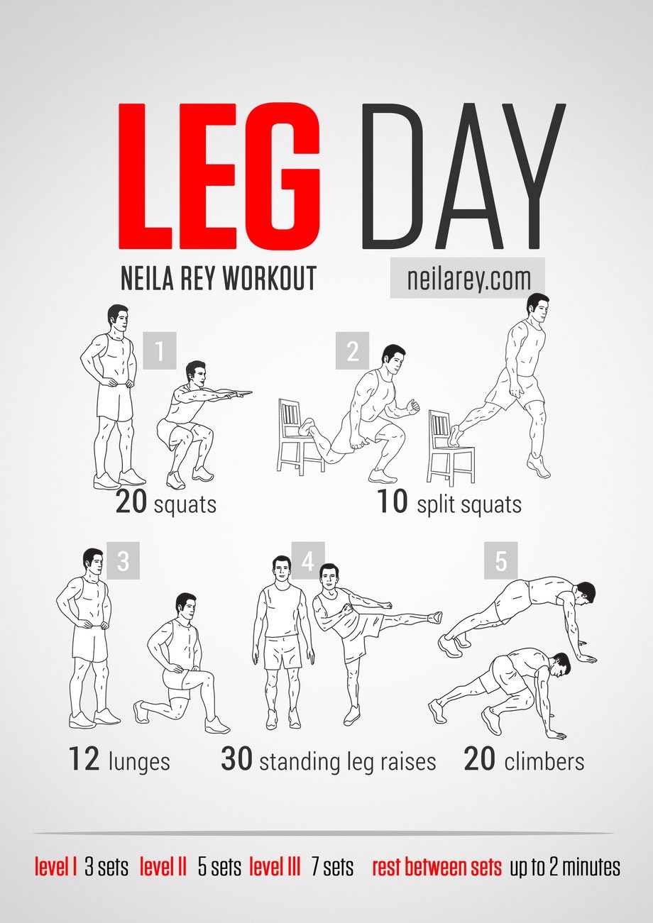 Everyday Workout Musely