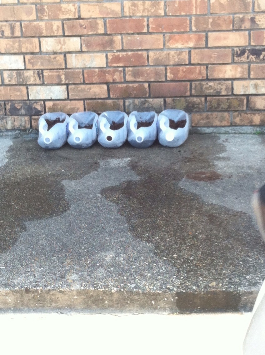 Recycle Old Gallon Water Jugs Musely