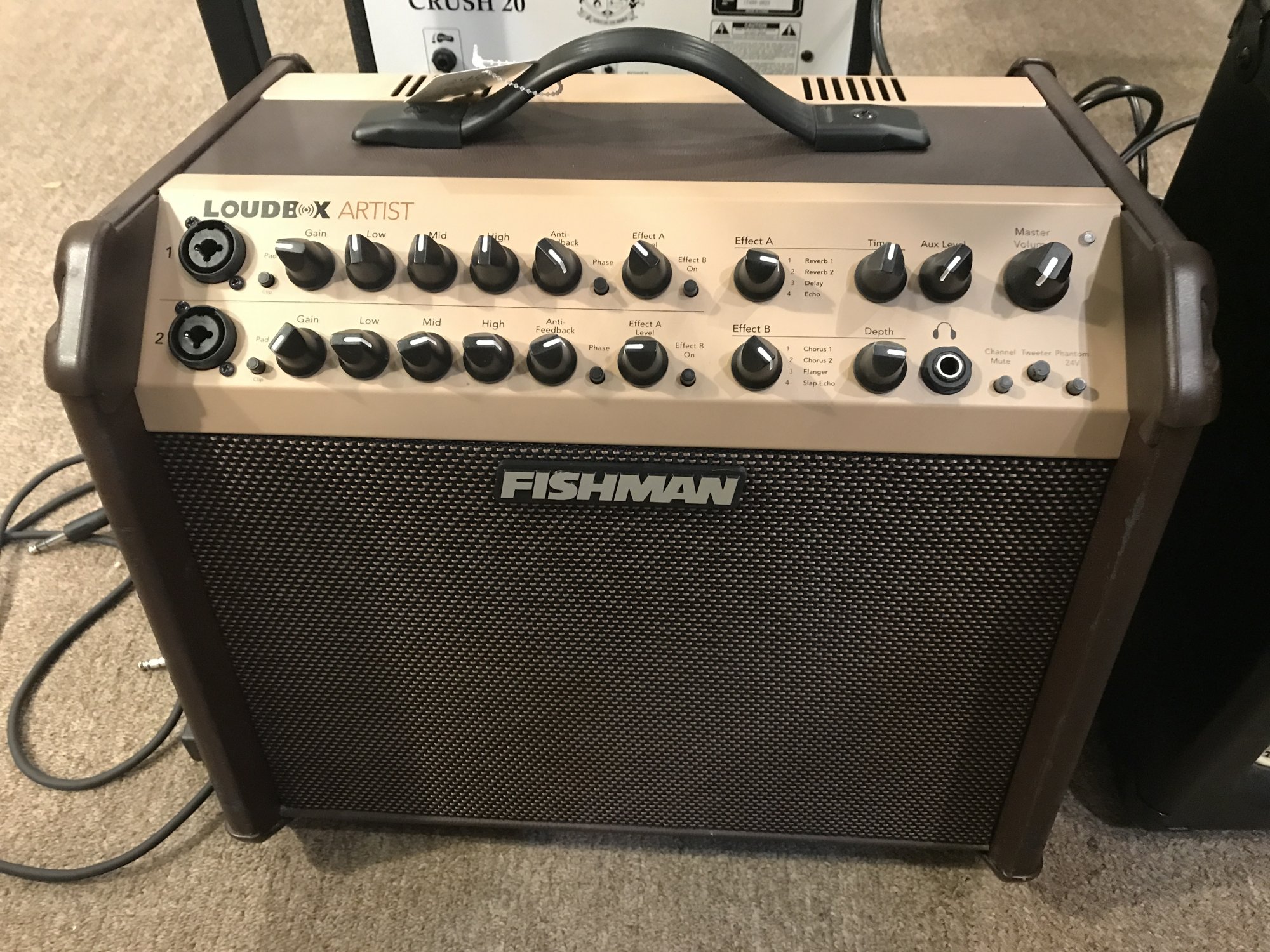 Acoustic Guitar Amp