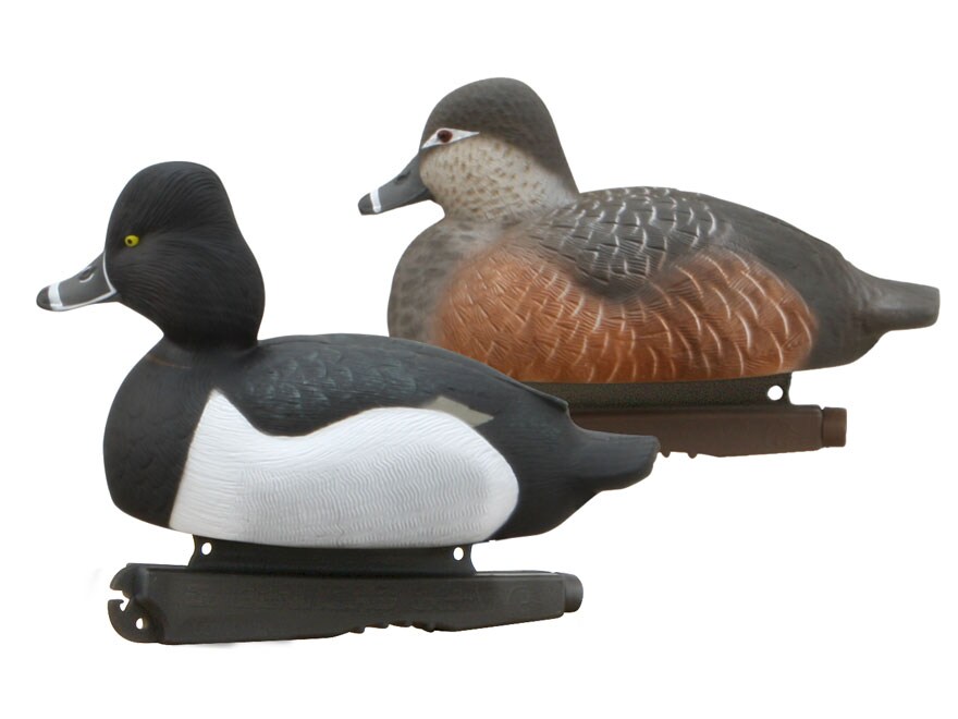 GHG LifeSize RingNecked Duck Decoy 6PK