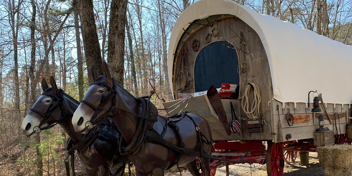 Fox Pass Cabins Home Vacation Rental in Hot Springs, Arkansas