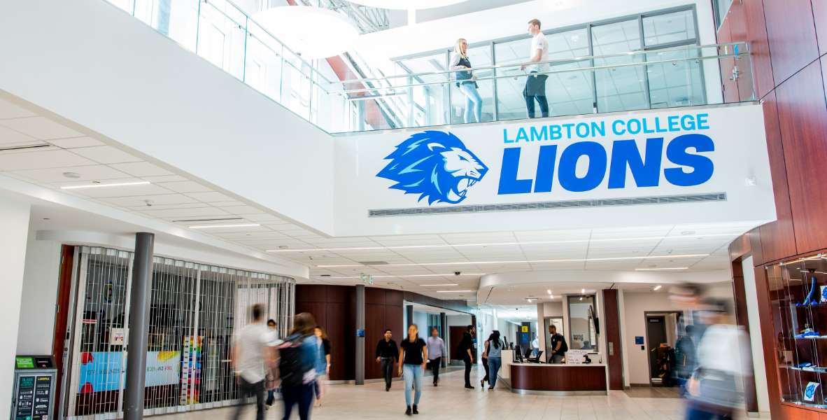 Renters needed for Lambton College students