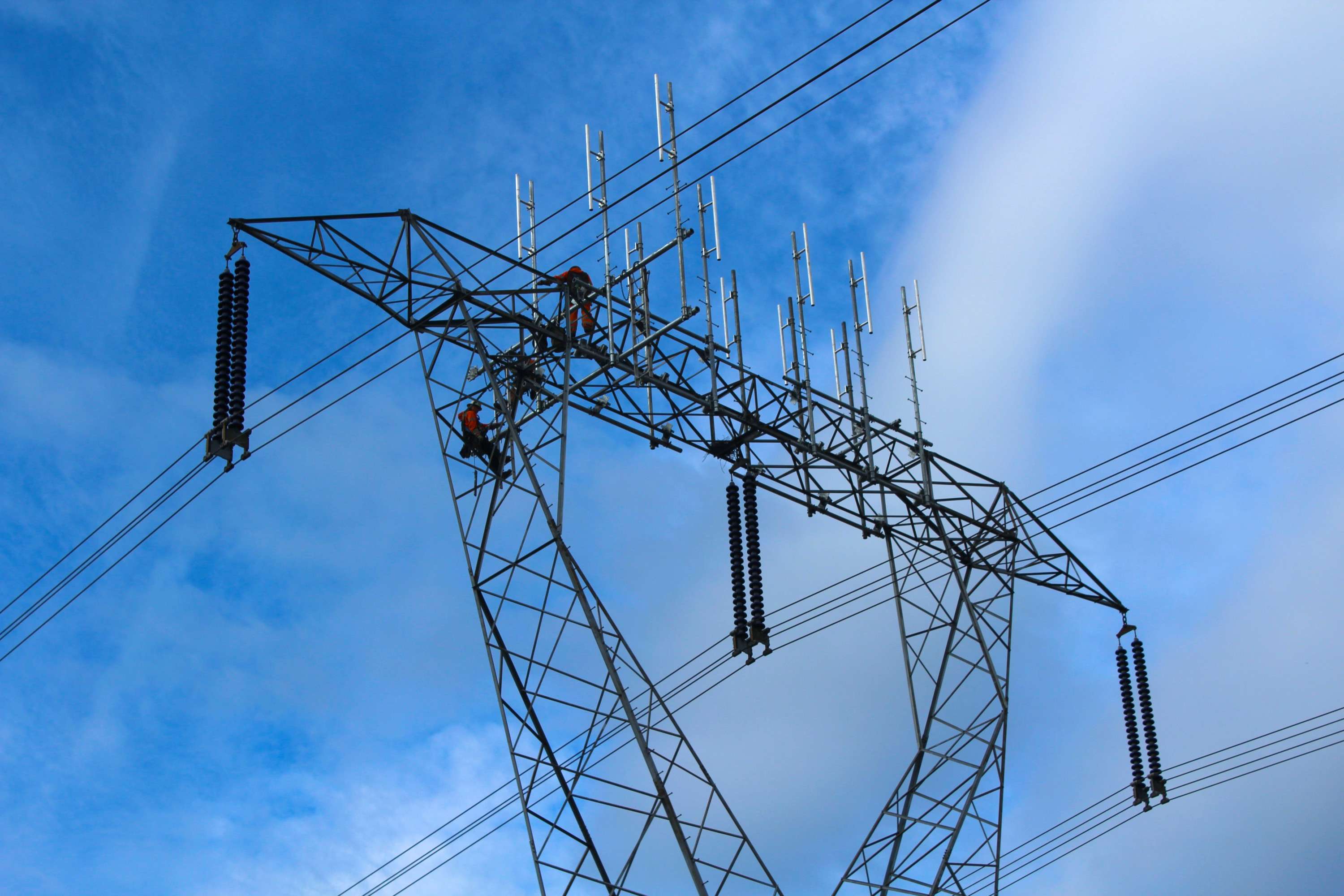 Hydro One makes environmental promises for St. Clair Transmission Line