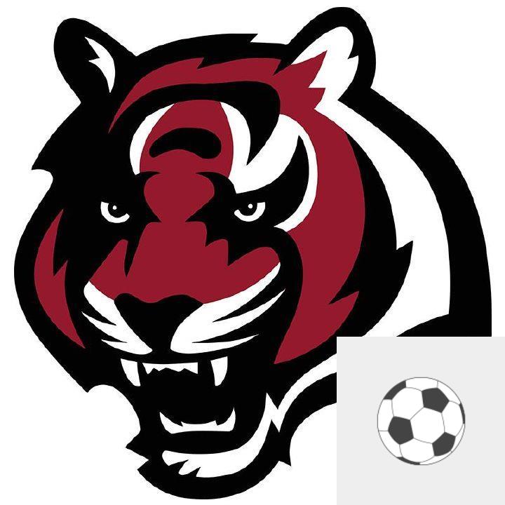 Belt High School Sports 406MTSports