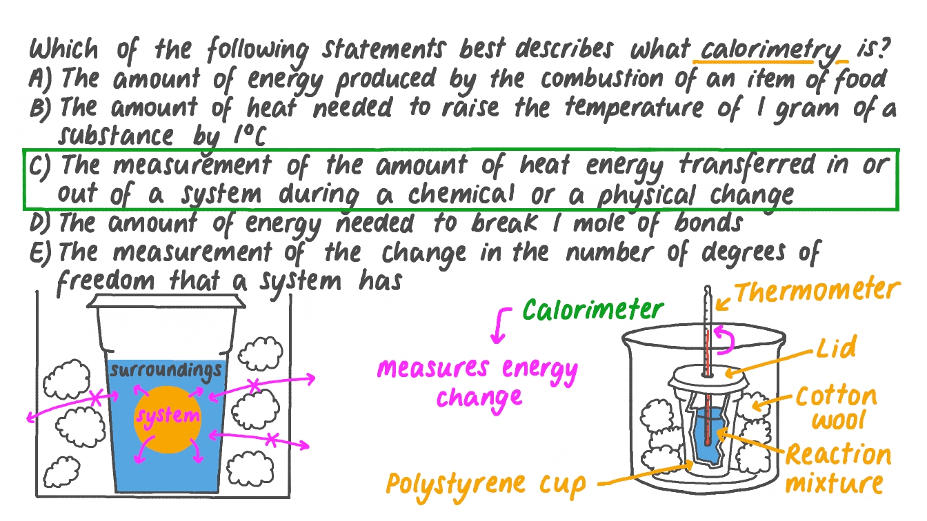 Question Video Identifying the Statement Which Best Describes