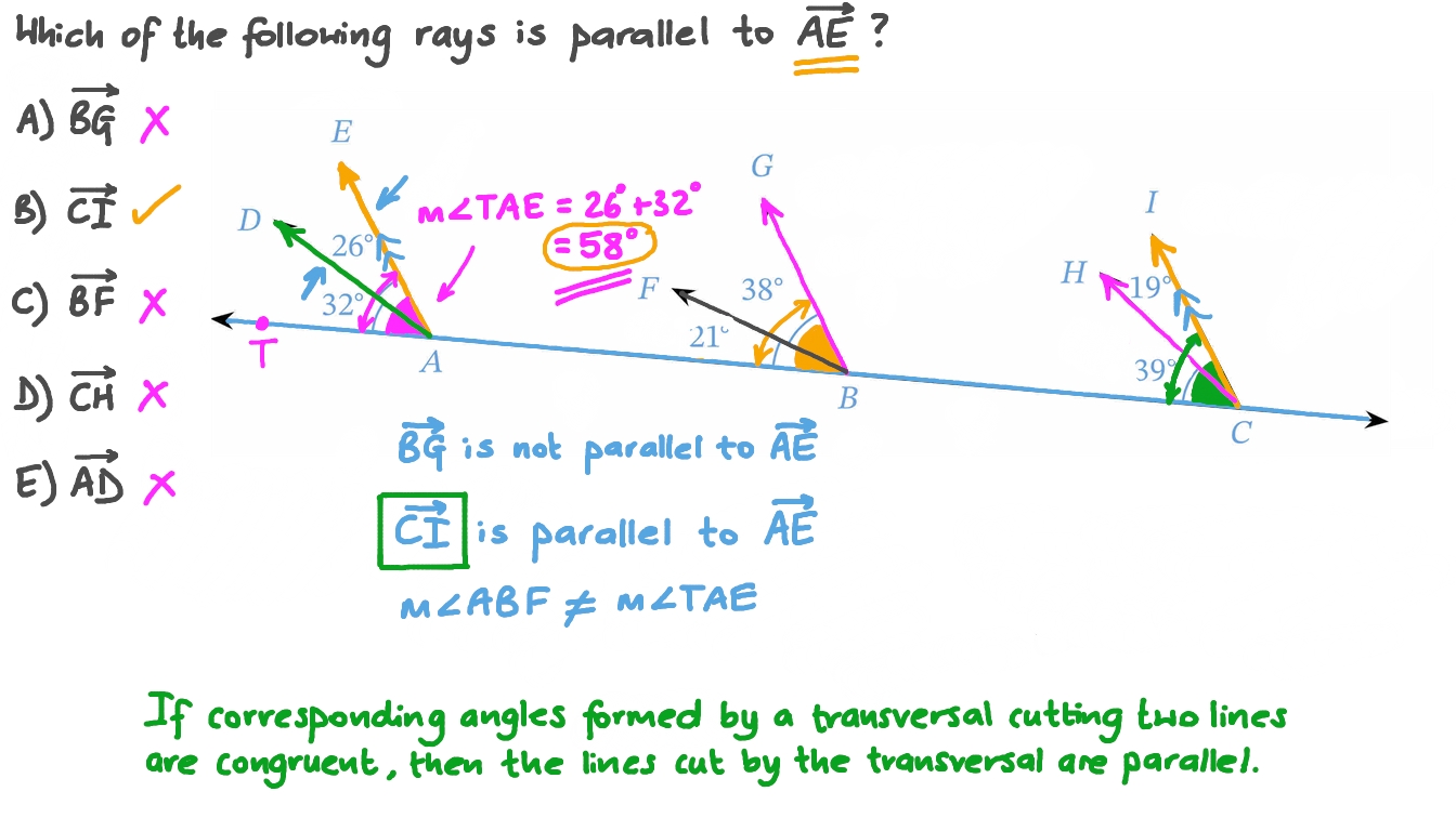 What Is Meant By Parallel Rays at Phoebe Araujo blog
