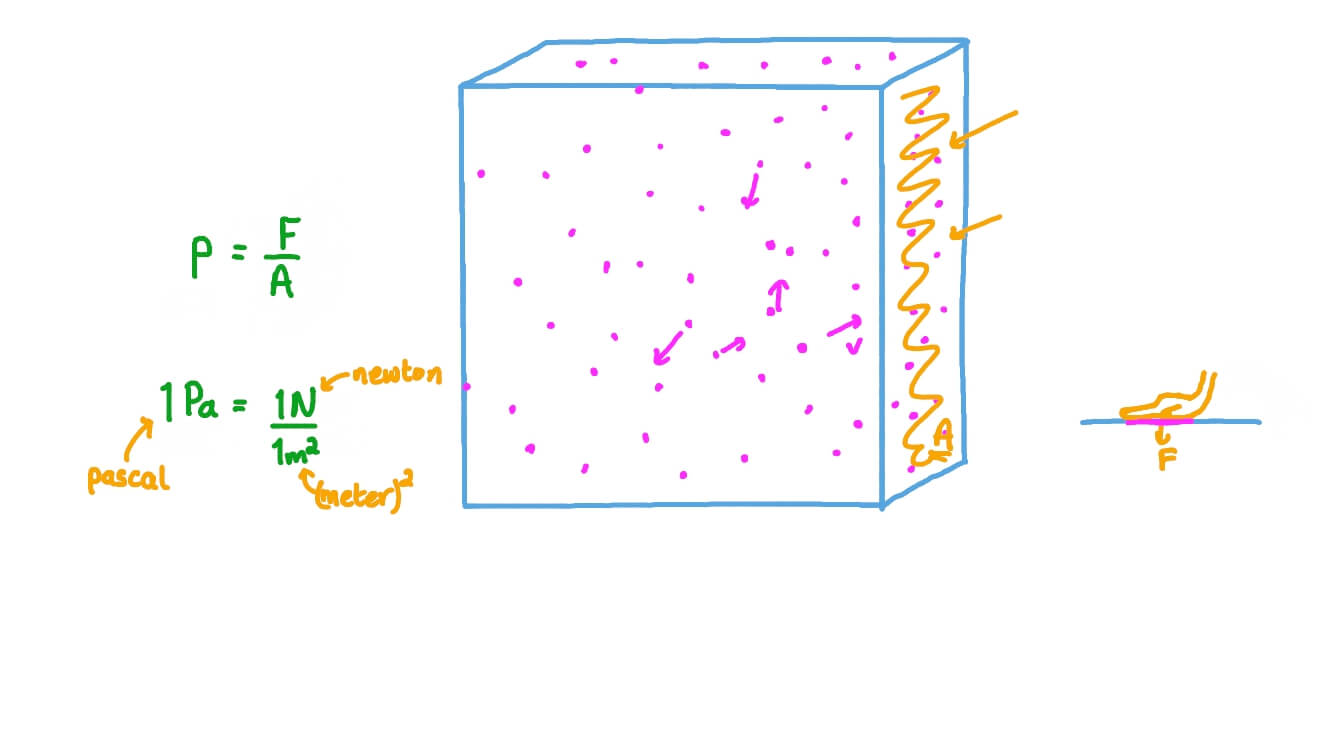 Question Video Force and Pressure