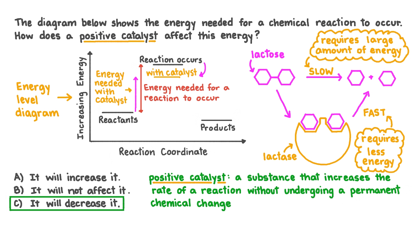 Question Video Determining How a Catalyst Affects the Energy Profile