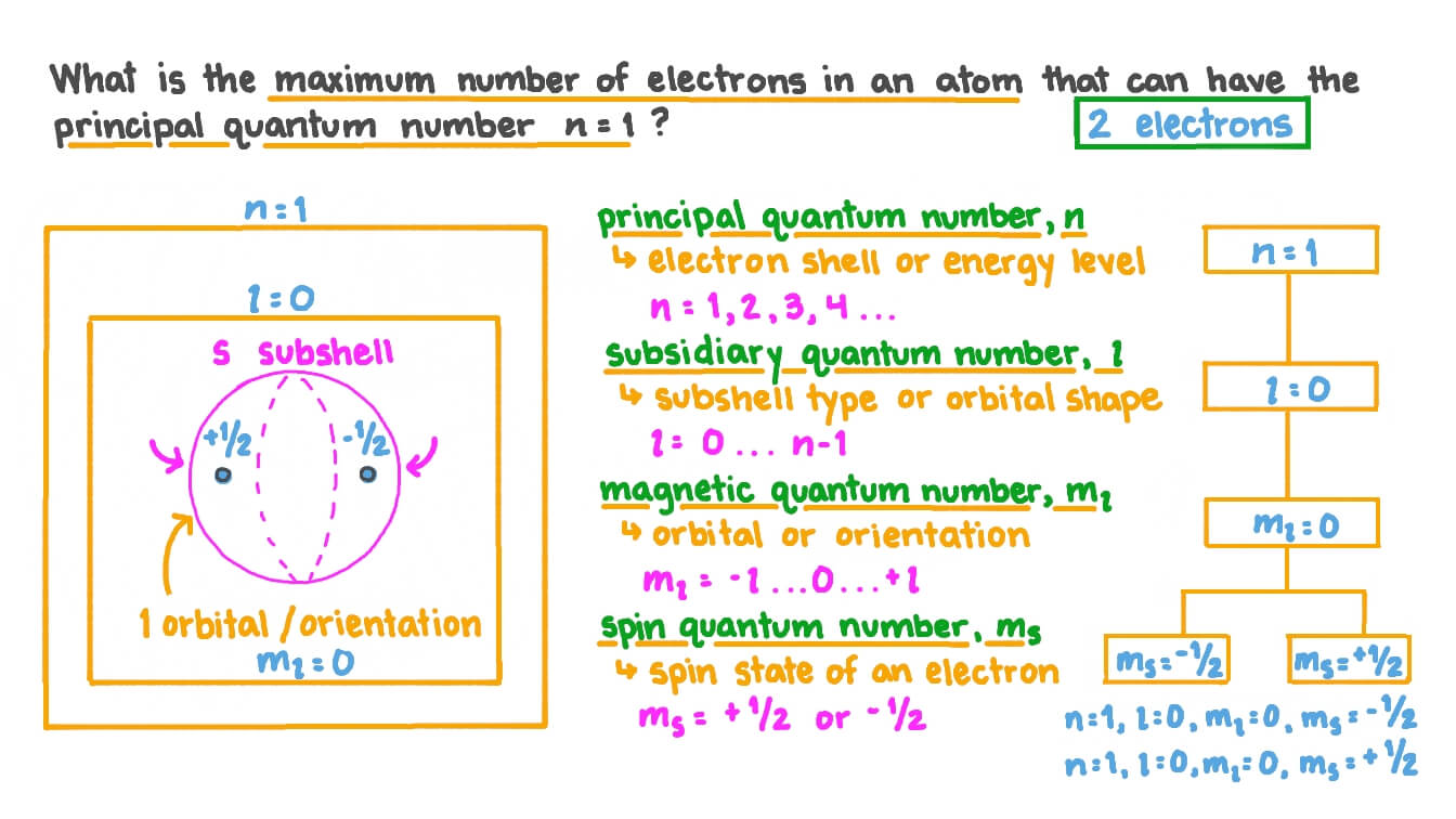 Spin Quantum Numbers