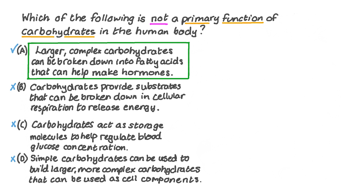 Question Video Recalling the Function of Carbohydrates in the Human