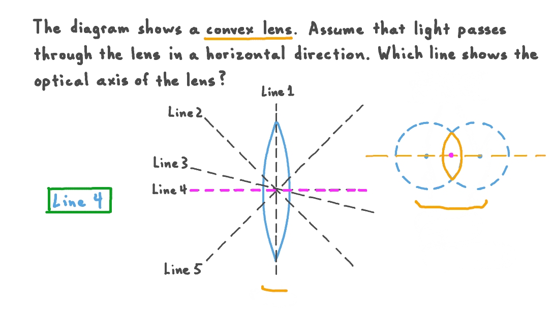 Question Video Identifying the Optical Axis of a Convex Lens Nagwa