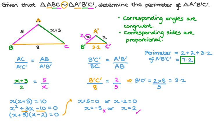 Lesson: Applications of Similar Polygons | Nagwa