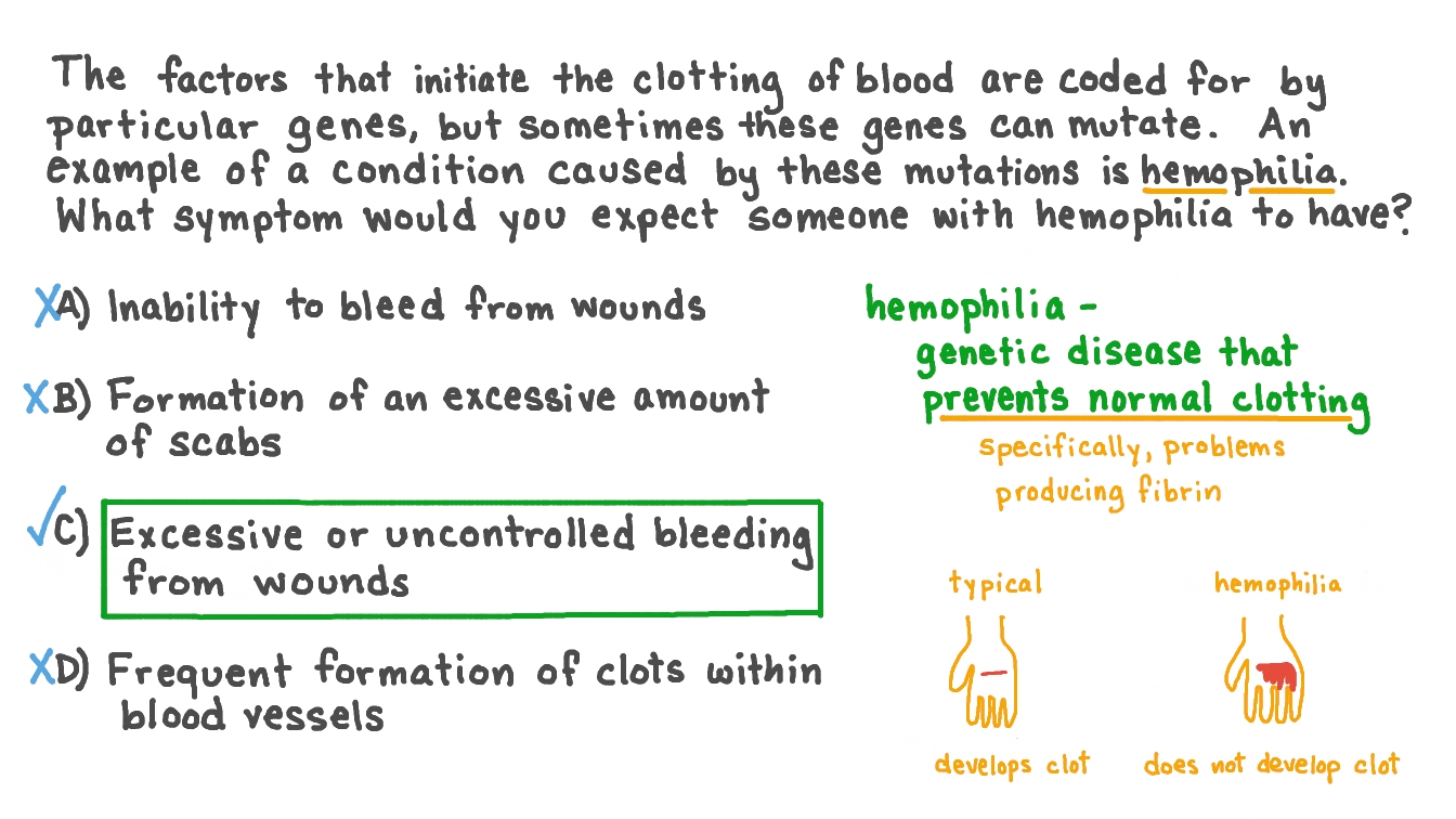 Question Video Understanding Clotting Disorders Nagwa