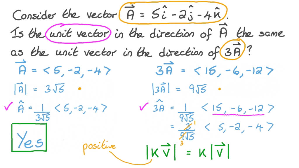 Question Video Understanding Unit Vectors in Relation To Scalar