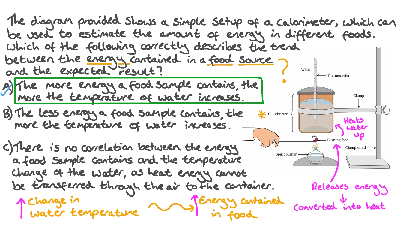 Calorimeter Experiment Sources Of Error at Rudy Reichman blog