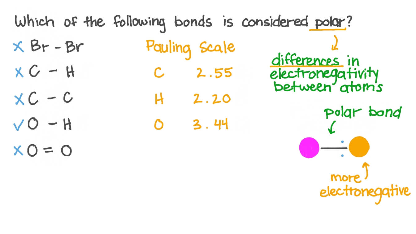 Question Video Identifying the Polar Bond Nagwa