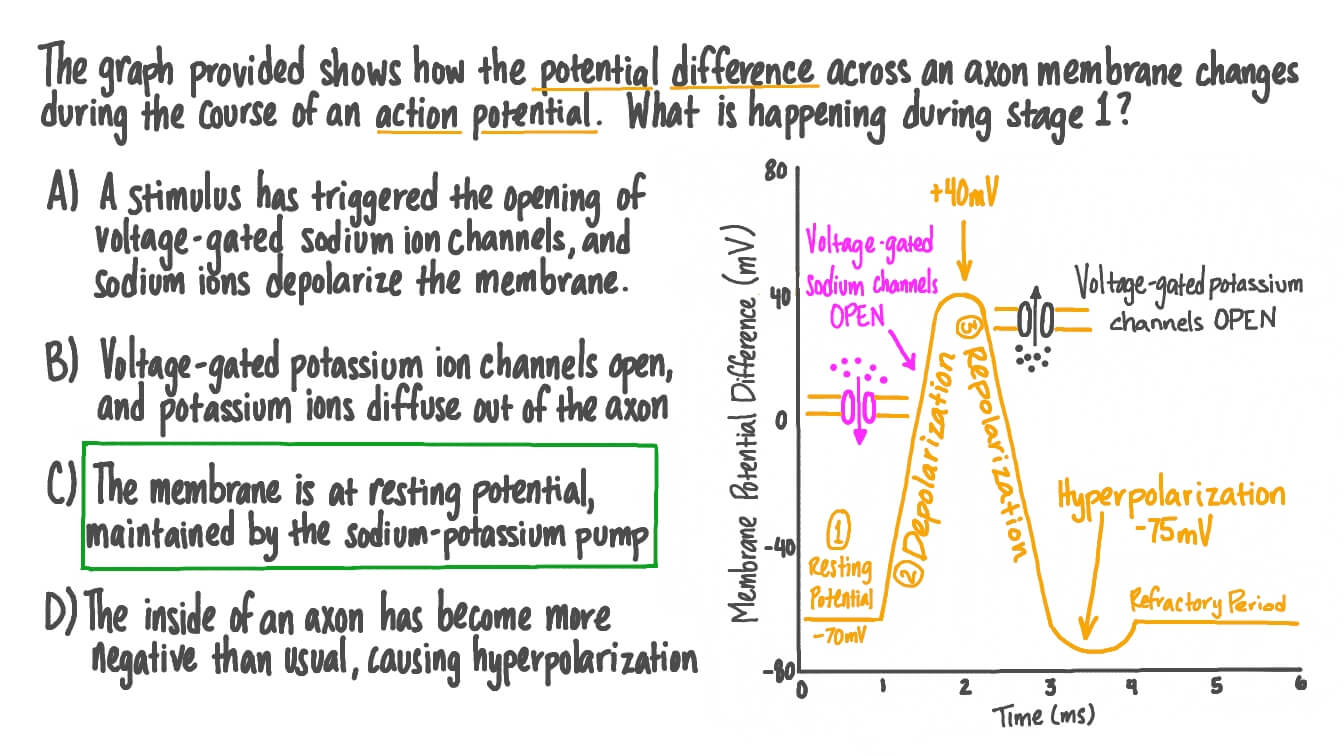 Question Video Recalling How the Potential Difference Changes during
