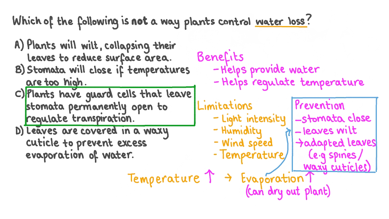 Question Video Identifying the Methods of Controlling Water Loss in